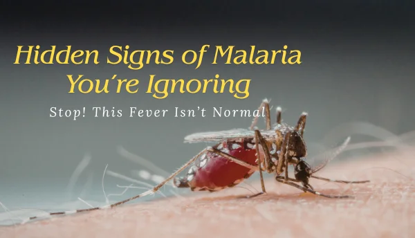 The Impact of Air Quality on Respiratory Health